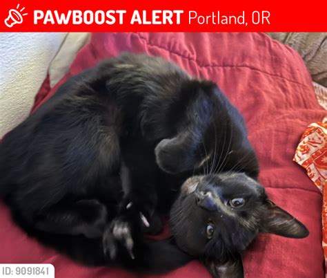 View on Facebook. . Pawboost portland